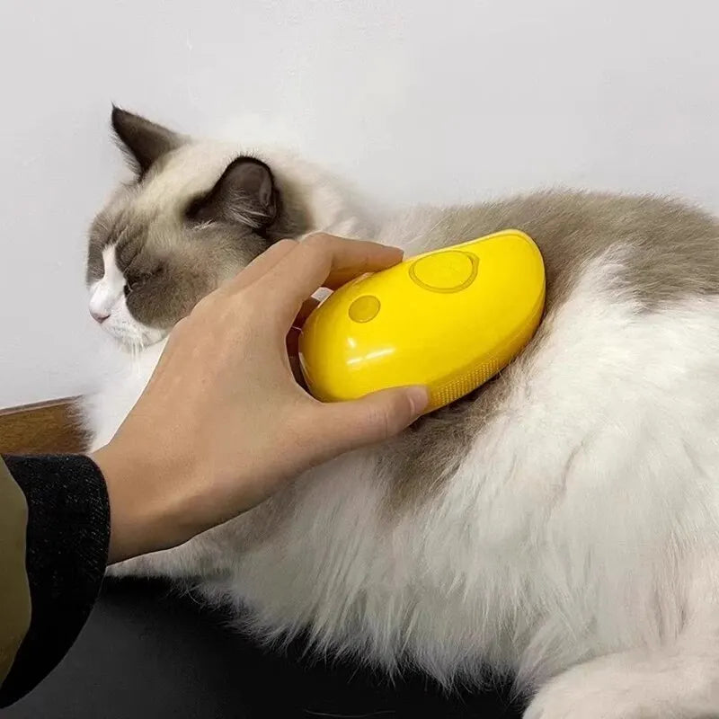 Pet Spray & Massage Comb